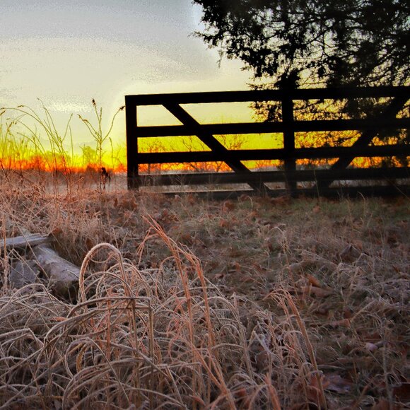 Meet your Posher, Jean - Picture 1 of 1